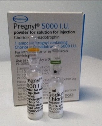 Acheter Pregnyl - Illustration d'une ampoule injectable HCG