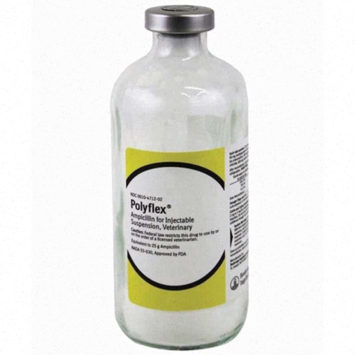 Ampicillin – boîte de comprimés